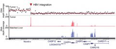 App CG-007 病原体-宿主基因组整合分析